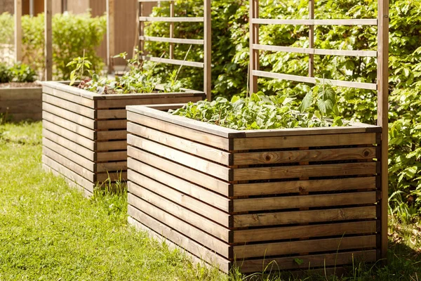 raised garden bed